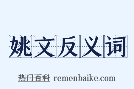 姚文反义词是什么意思的图片